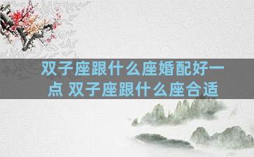 双子座跟什么座婚配好一点 双子座跟什么座合适